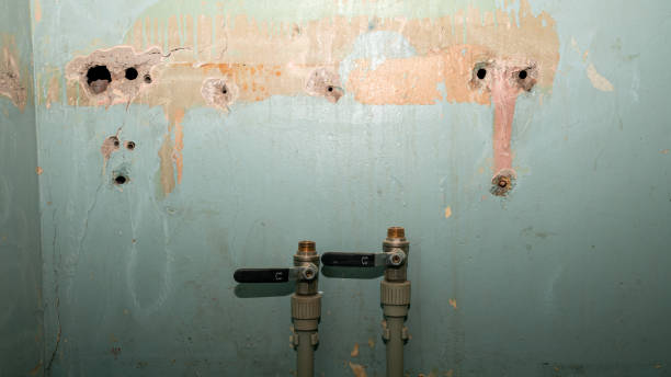 Best Water damage restoration experts  in Redfield, SD